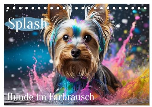 Splash - Hunde im Farbrausch (Tischkalender 2026 DIN A5 quer), CALVENDO Monatskalender: Hunde im farbigen Wasserbad (CALVENDO Tiere)