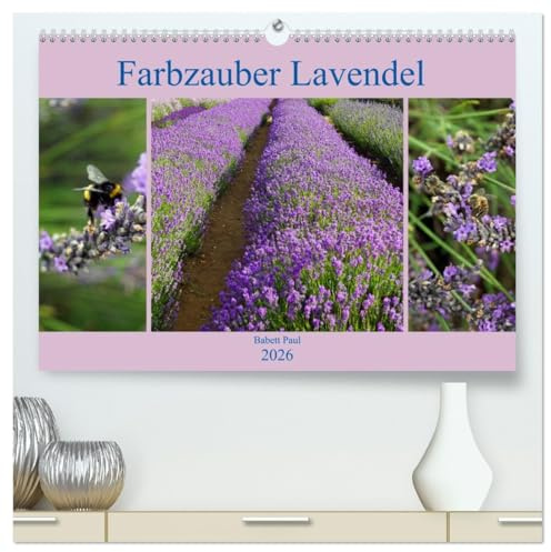 Farbzauber Lavendel (hochwertiger Premium Wandkalender 2026 DIN A2 quer), Kunstdruck in Hochglanz: Lavendel in England mit unterschiedlichen Farbnuancen. (CALVENDO Natur)