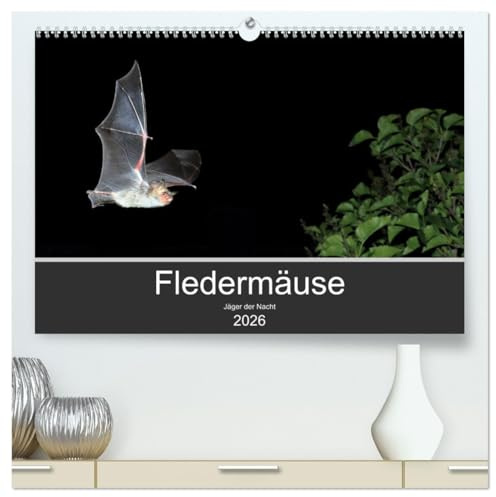 Fledermäuse - Jäger der Nacht (hochwertiger Premium Wandkalender 2026 DIN A2 quer), Kunstdruck in Hochglanz: Fotos unserer europäische Fledermäusen aus allen Jahreszeiten. (CALVENDO Tiere)