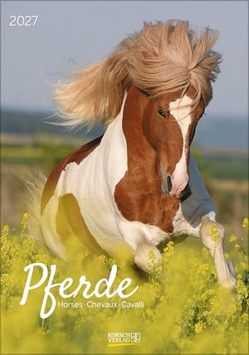 Pferde 2027: Wandkalender mit Fotos von Pferden. Format 23,5 x 33,5 cm.