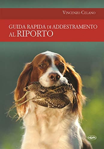 Guida rapida di addestramento al riporto