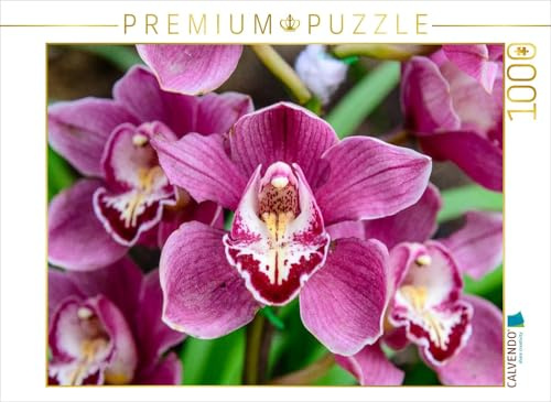 CALVENDO Puzzle Hybrid-Cymbidium | 1000 Teile Lege-Größe 64 x 48 cm Foto-Puzzle für glückliche Stunden