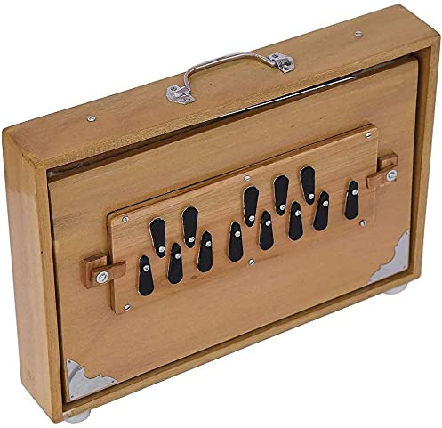Seitliche Bedienelemente, Shruthi-Box-Raddel, Strauchbox-Pedal, indisches Musikinstrument, Strauchbox-Musik, indische Sträucher-Box, Büschen-Box, Konzert, AMIT20