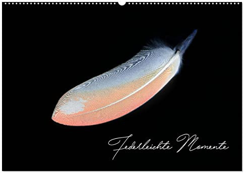Federleichte Momente (Wandkalender 2026 DIN A2 quer), CALVENDO Monatskalender: Federn in einem anderen Licht (CALVENDO Tiere)