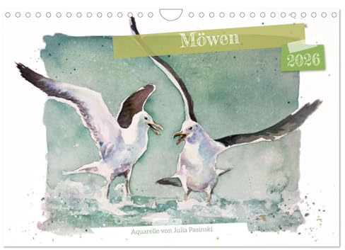 Möwen - Aquarelle von Julia Pasinski (Wandkalender 2026 DIN A4 quer), CALVENDO Monatskalender: Zwölf Möwenmotive begleiten Sie durch das Jahr (CALVENDO Kunst)