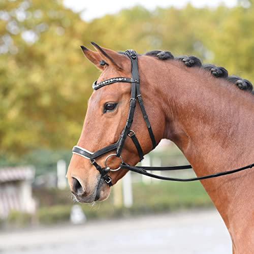 Busse