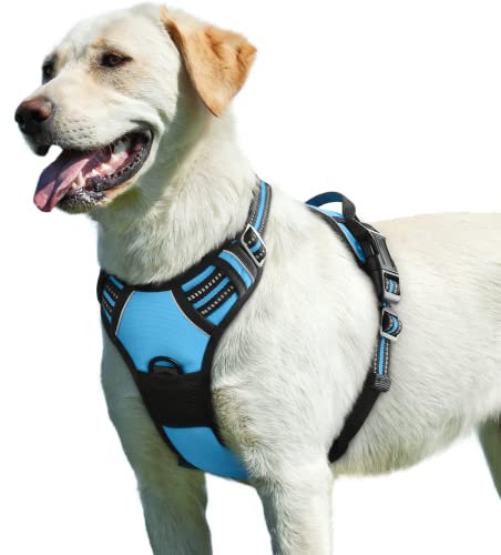 Eagloo Hundegeschirr Grosse Hunde, Anti Zug Hundegeschirr mit Reflexstreifen und Kontrolle, Verstellbar und Einstellbar Geschirr Hund Groß, Brustgeschirr für Labrador, Hellblau, L