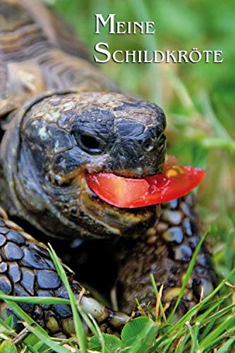 Meine Schildkröte: Griechische Landschildkröte. Notizbuch, Journal, Tagebuch, Format A5, 120 Seiten, fein hellgrau liniert. Geschenkidee für Schildkrötenfans und alle Tierfreunde