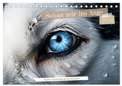 Schau mir ins Auge (Tischkalender 2026 DIN A5 quer), CALVENDO Monatskalender: Augen sind Fenster in eine neue Welt (CALVENDO Tiere)