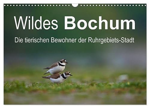 Wildes Bochum (Wandkalender 2026 DIN A3 quer), CALVENDO Monatskalender: Alle Fotos der Tiere sind in Bochum aufgenommen worden. (CALVENDO Orte)