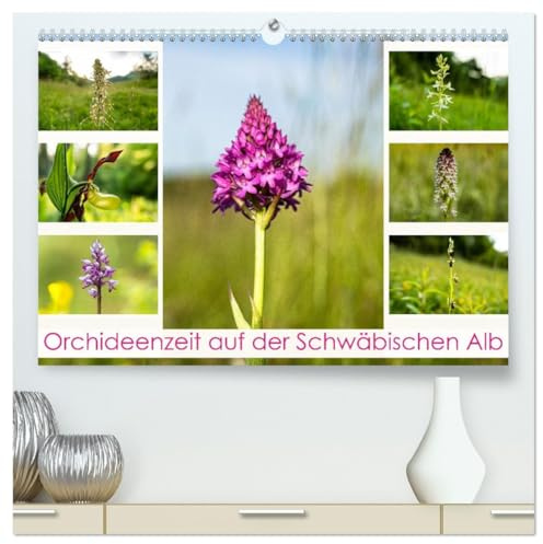 Orchideenzeit auf der Schwäbischen Alb (hochwertiger Premium Wandkalender 2026 DIN A2 quer), Kunstdruck in Hochglanz: Auf der Schwäbischen Alb wachsen ... verschiedene Orchideenarten. (CALVENDO Natur)