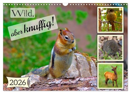 Wild, aber knuffig! (Wandkalender 2026 DIN A3 quer), CALVENDO Monatskalender: Niedlichkeit lauert einfach überall! (CALVENDO Tiere)