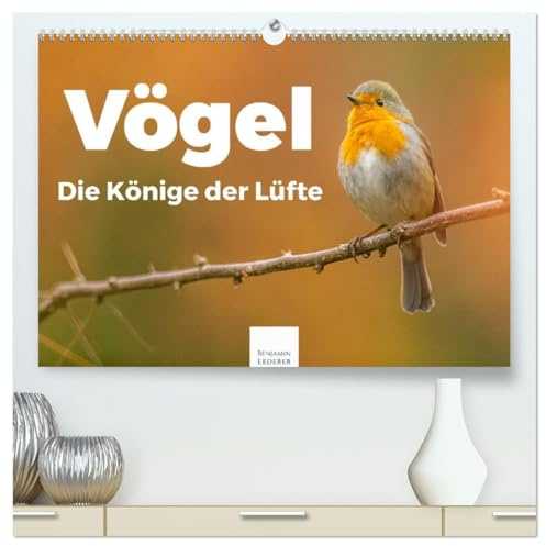 Vögel - Die Könige der Lüfte (hochwertiger Premium Wandkalender 2026 DIN A2 quer), Kunstdruck in Hochglanz: Entdecken Sie die Welt der Vögel. (CALVENDO Tiere)