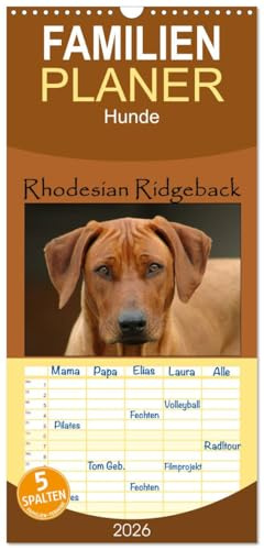 Familienplaner 2026 - Rhodesian Ridgeback Terminkalender mit 5 Spalten (Wandkalender, 21 cm x 45 cm), CALVENDO: Monatlicher Terminplaner mit ... Ridgeback Fotografien. (CALVENDO Tiere)