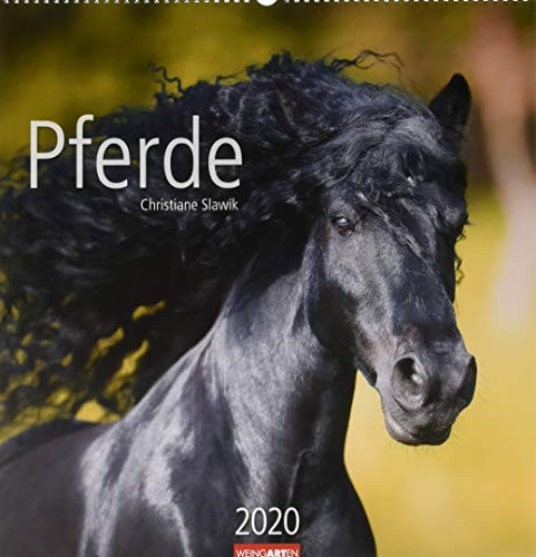 Pferde. Wandkalender 2020. Monatskalendarium. Spiralbindung. Format 46 x 48 cm