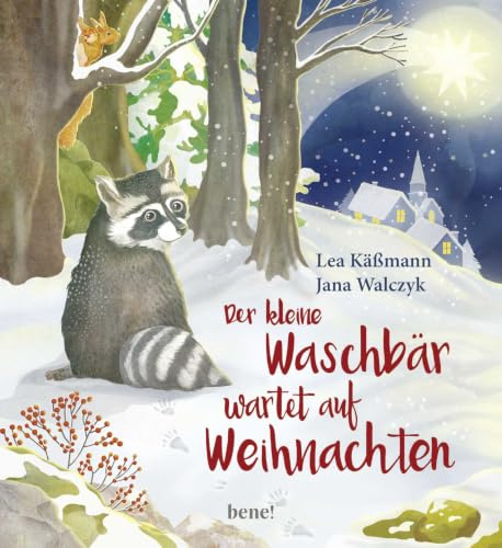 Der kleine Waschbär wartet auf Weihnachten – ein Bilderbuch für Kinder ab 2 Jahren (Die Abenteuer des kleinen Waschbären, Band 1)