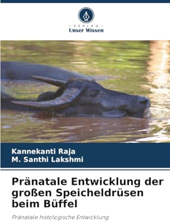 Pränatale Entwicklung der großen Speicheldrüsen beim Büffel: Pränatale histologische Entwicklung