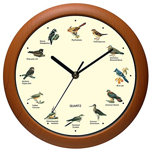 Belinlen Singing Bird Wanduhr 30,5 cm mit Namen und Liedern der Vogel