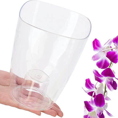 B2C Plant Orchid Pot Plastic 8 Colours Gloss Oval Planter Transparent Clear 12 cm (Clear transparent, Square)