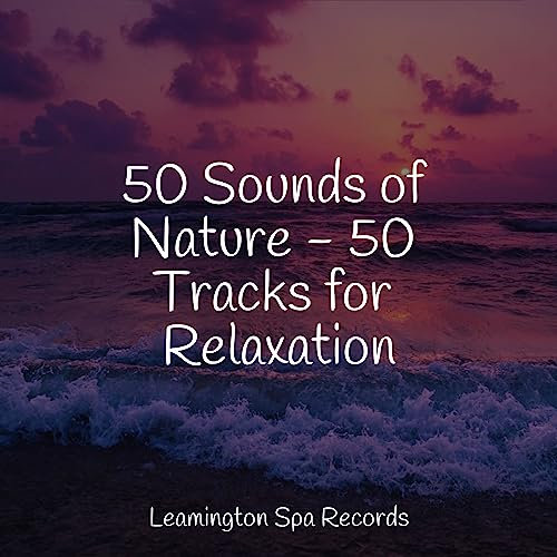 Welness and Mindfulness