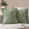 Topfinel Kissenbezug 35x35 grün 2er Set Kordsamt Frühling Kissenbezüge Kissenhülle Dekorative Kissenbezug Sofakissen Couchkissen Dekokissen Deko Kissen für Sofa Wohnzimmer Schlafzimmer