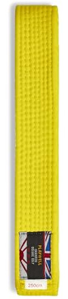 Playwell Martial Arts Gürtel aus Baumwolle, einfarbig, Karate, Judo Taekwondo, gelb, 320cm