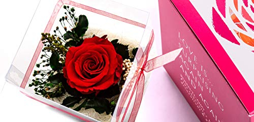 Rosen-Te-Amo® | konservierte ewige Rose | duftend | handgefertigt | echte Deko-Foliage | Geschenkbox | feines Design | Infinity Rosen-Box & Schmuck| Geschenke für Frauen & Deko Weihnachten
