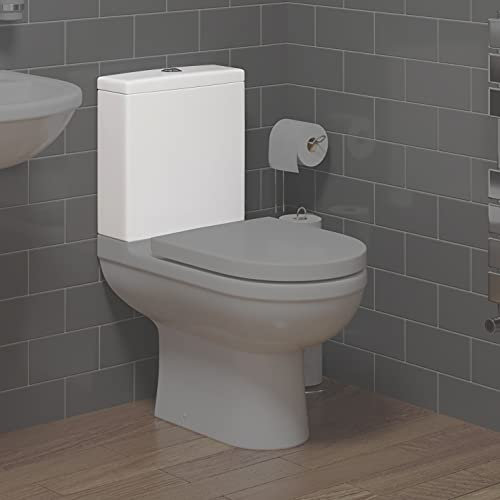 Dual Flush Cistern Only with Chrome Flush Button