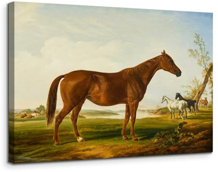 MHARTK66 Stehende Pferde Leinwand Bilder, 50x70 cm Wandbilder Wohnzimmer Tier Bild Aesthetic, Modern Wanddeko Kunstdruck Schlafzimmer Badezimmer Büro Esszimmer Küche