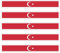 benobler 5 x Aufkleber TÜRKEI f. KFZ Auto Motorrad Boot Flagge Fahne TÜRKIYE