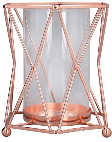OKJHFD Ins Wind Net Vase en Fer Rouge Vase à Plantes Pot De Fleur en Verre Transparent Géométrique De Gros Calibre Vase Hydroponique Adapté Aux Plantes Transparentes Hydroponiques