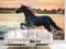 Oedim Fotomural Vinilo Para Pared Caballo en el Agua | Mural | Fotomural Vinilo Decorativo | 200 x 150 cm | Decoración comedores, salones, habitaciones
