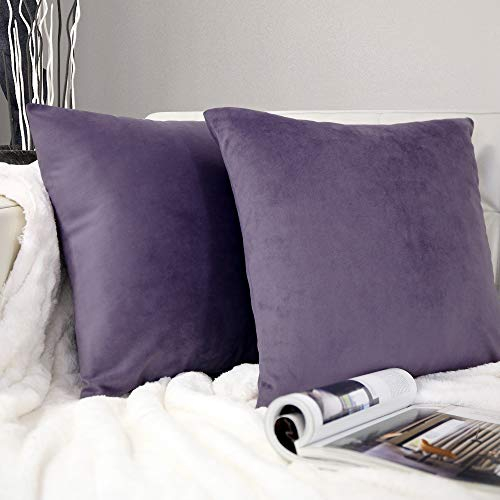Barbons Kissenbezug 50x50 2er Set – Samt Dekokissenbezug weiche Kissenbezüge Kissenhülle mit Reißverschluss Kopfkissenbezug (50x50, Lila)