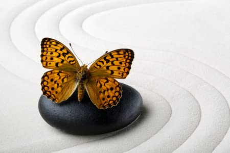 adrium Acryl-Bild 60 x 40 cm: Zen-Stein mit Schmetterling(26929416)