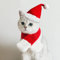 Enjoying Katzen Weihnachtskostüm Hunde Weihnachtsmann Mütze mit Weihnachtsschal Welpe Weihnachtsmütze Katzenbekleidung