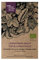 Löwenzahn-Salat 'Catalogna foglie frastagliate' (Cichorium endivia) Bio - ca. 375 Samen