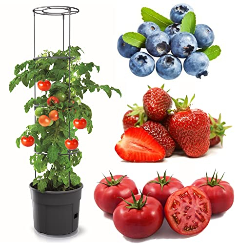 botle Tomatenpflanze Blumentopf für Tomaten Pflanzkübel 12 L, Tomatenzüchter, Tomatentopf, Übertopf, Gemüsen, Tomaten Waschen