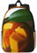 MISTRARA Mango 15 Zoll Leichter Rucksack Laptop Rucksack Wanderrucksack Sportrucksack, Schwarz , One size