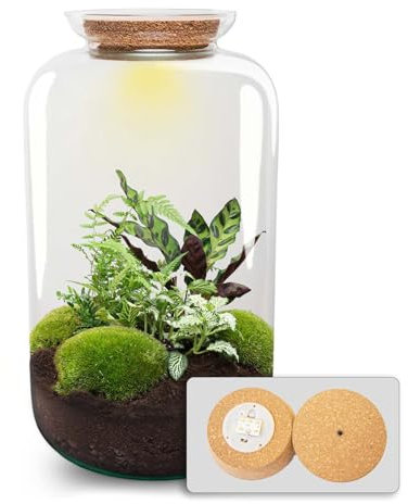 Kit DIY Terrarium • Botanique Sven XL • Écosystème avec Plantes • ↑ 43 cm