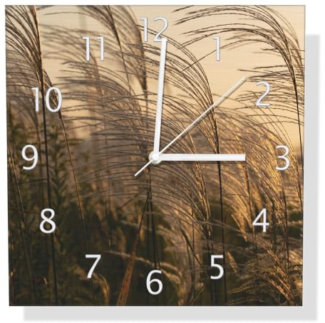Wallario Design Wanduhr Schilf im Wind aus Aluverbund, Alu-Uhr Größe 30 x 30 cm, weiße Zeiger mit Metalloptik