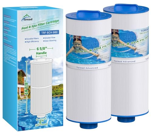 TOREAD Lot de 2 filtres de Spa 6CH-960 - Remplace Les filtres Jacuzzi J-300, J400, PJW60TL-F2S, 14081, 6000-383A, Unicel 6CH-960, Filbur FC-2800, 6540-383, avec poignée fermée (Non Amovible)