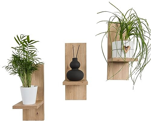 Mex-System Lot de 3 étagères murales élégantes en bois pour vos plantes et décoration murale (chêne artisan)