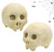 Crânes pour brasero en céramique – Accessoires photo, décoration de feu de camp d'Halloween pour intérieur et maison