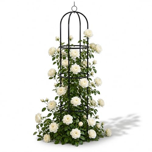 Mojawo XXL Witterungsbeständiger Pflanzenständer Rankhilfe Rankgitter Spalier Obelisk pulverbeschichtetem Metall H190cm Ø40cm