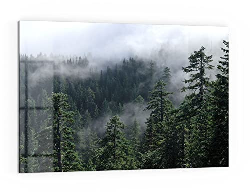 DEQORI Küchenrückwand Glas | Motiv Tannenspitzen im Nebel | 60x40 cm | Bad- oder Herd-Rückwand | Herdblende Spritzschutz für Küche & Badezimmer | moderne Deko für Fliesenspiegel
