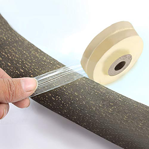 KIMISS Best+Grafting+Tape Biologisch Abbaubares Veredelungsband, Transparentes Pe, 1 Rolle, Selbstklebendes, Flexibles Veredelungsband, Dehnbare, Transparente Folie für den Garten, 2 cm (2cm)
