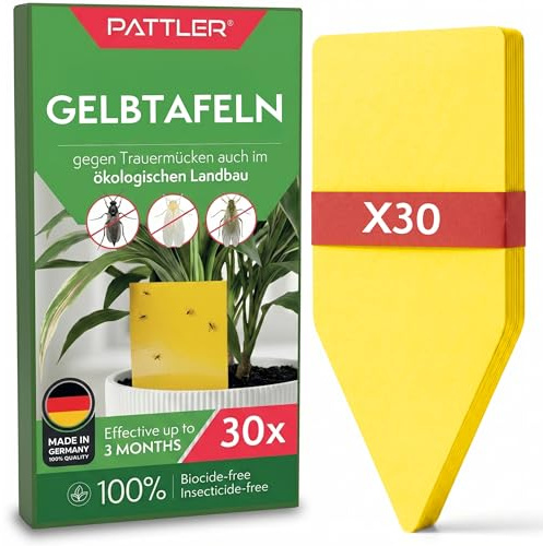Pattler Gelbsticker Trauermücken – 30 Stück. Gelbtafeln gegen Trauermücken bekämpfen ideal für den Einsatz als Klebefallen für Zimmerpflanzen, bis zu 3 Monate wirksam und ohne Chemie.