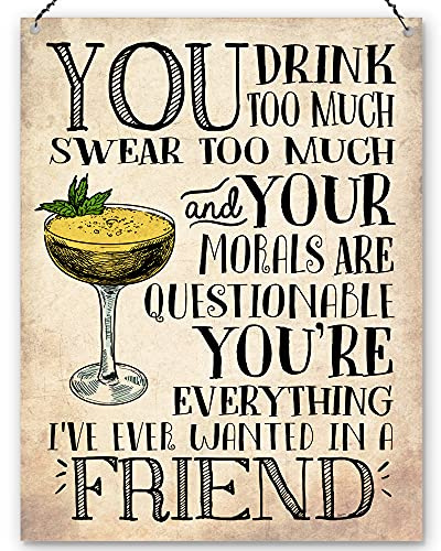 Dorothy Spring You Drink Too Much Funny Friendship Wall Quote Plaque Metal Sign Size 15x20cm