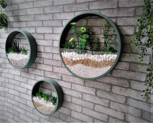 Lot de 3 Murale Planteur,DéCoration Mur Pots à Suspendre MéTal Ronde Pots De Fleurs Verre Mural JardinièRe Clair Vase pour Artificielles Fleur,Cactus,Succulentes,DéCor pour Salon Salle à Manger