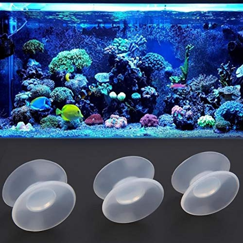 Cuque Vendite Pazze Ventosa a Doppia Faccia, Ventosa per Acquario, 10 Pezzi di Diametro 0,79 Pollici per Acquario Cortile Acquario per la casa